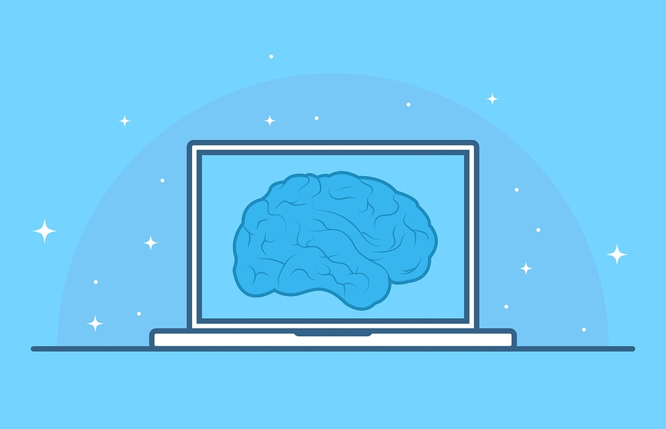 brain on a computer screen graphic
